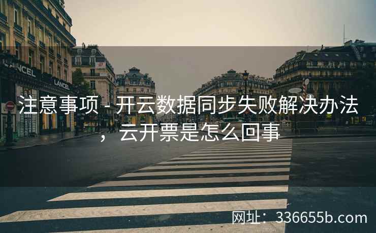 注意事项 - 开云数据同步失败解决办法，云开票是怎么回事
