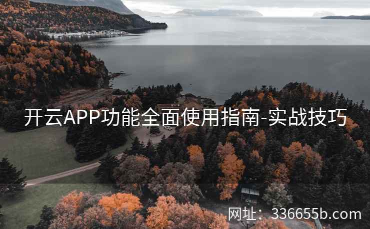 开云APP功能全面使用指南-实战技巧
